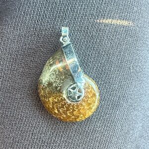 Dendritic Ammonite Silver Plated Pendant Nautilus (b)